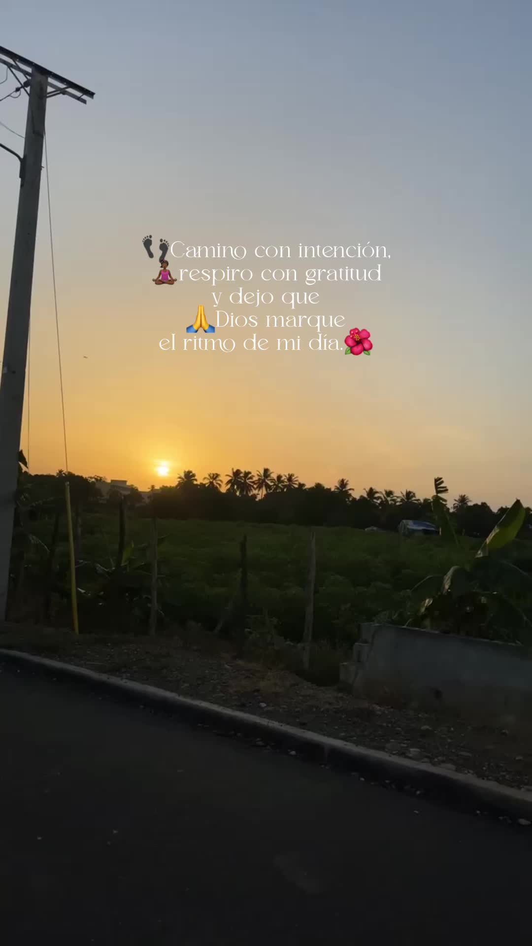 @andravaldez_