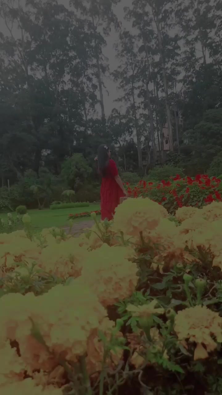 @🦋හංසි බාබා🦋