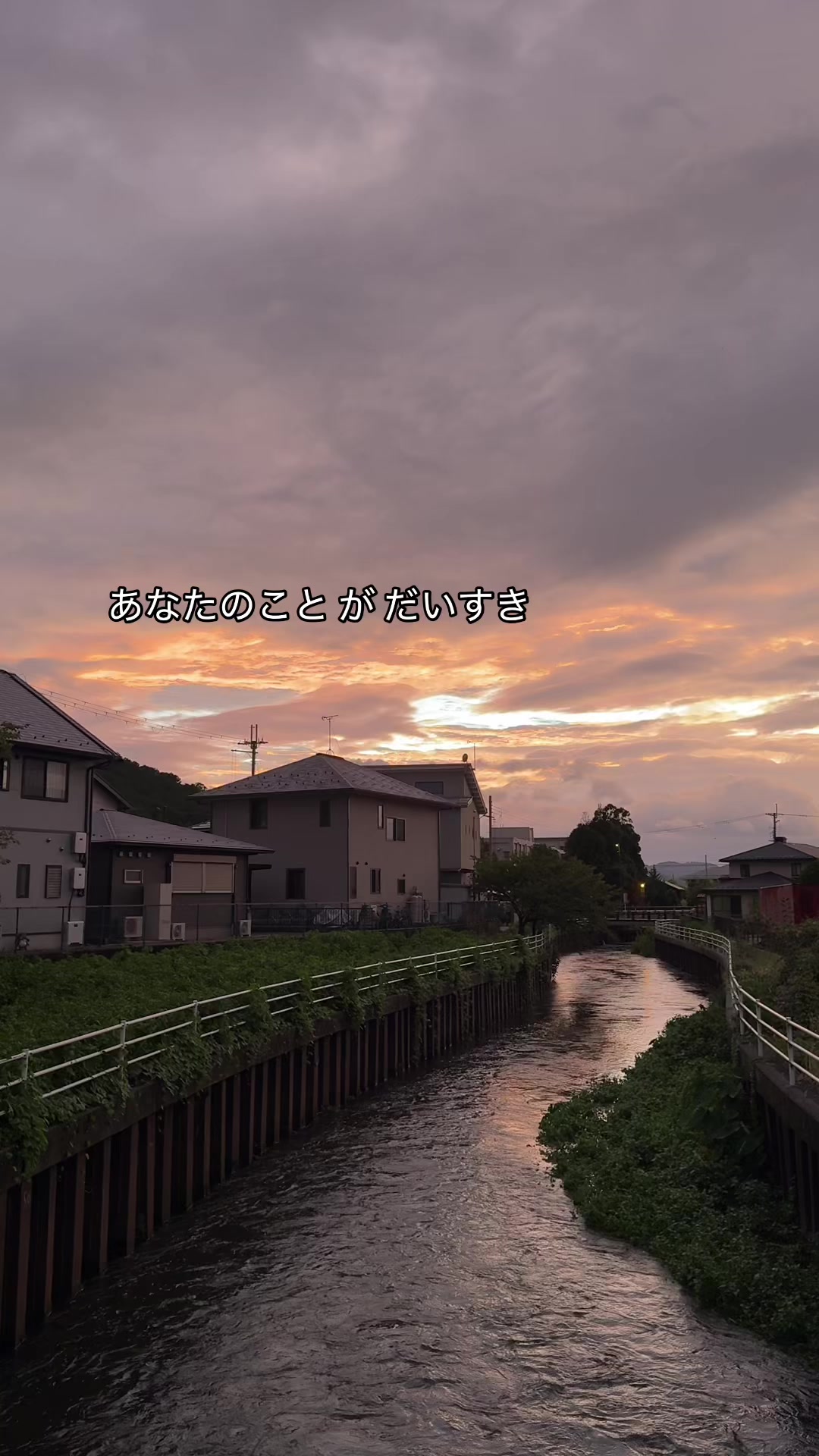 @Kano