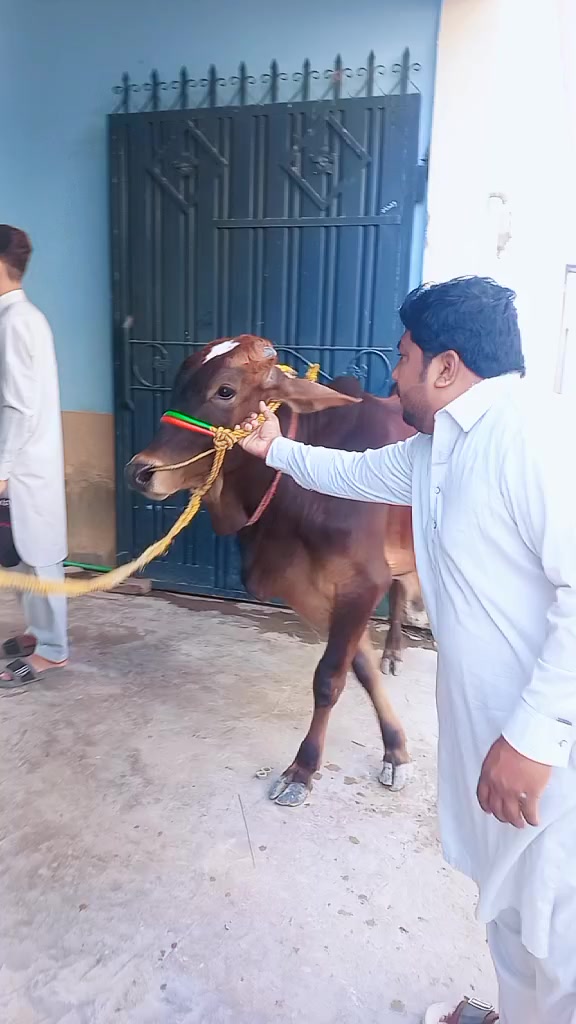 @shakeelbaloch