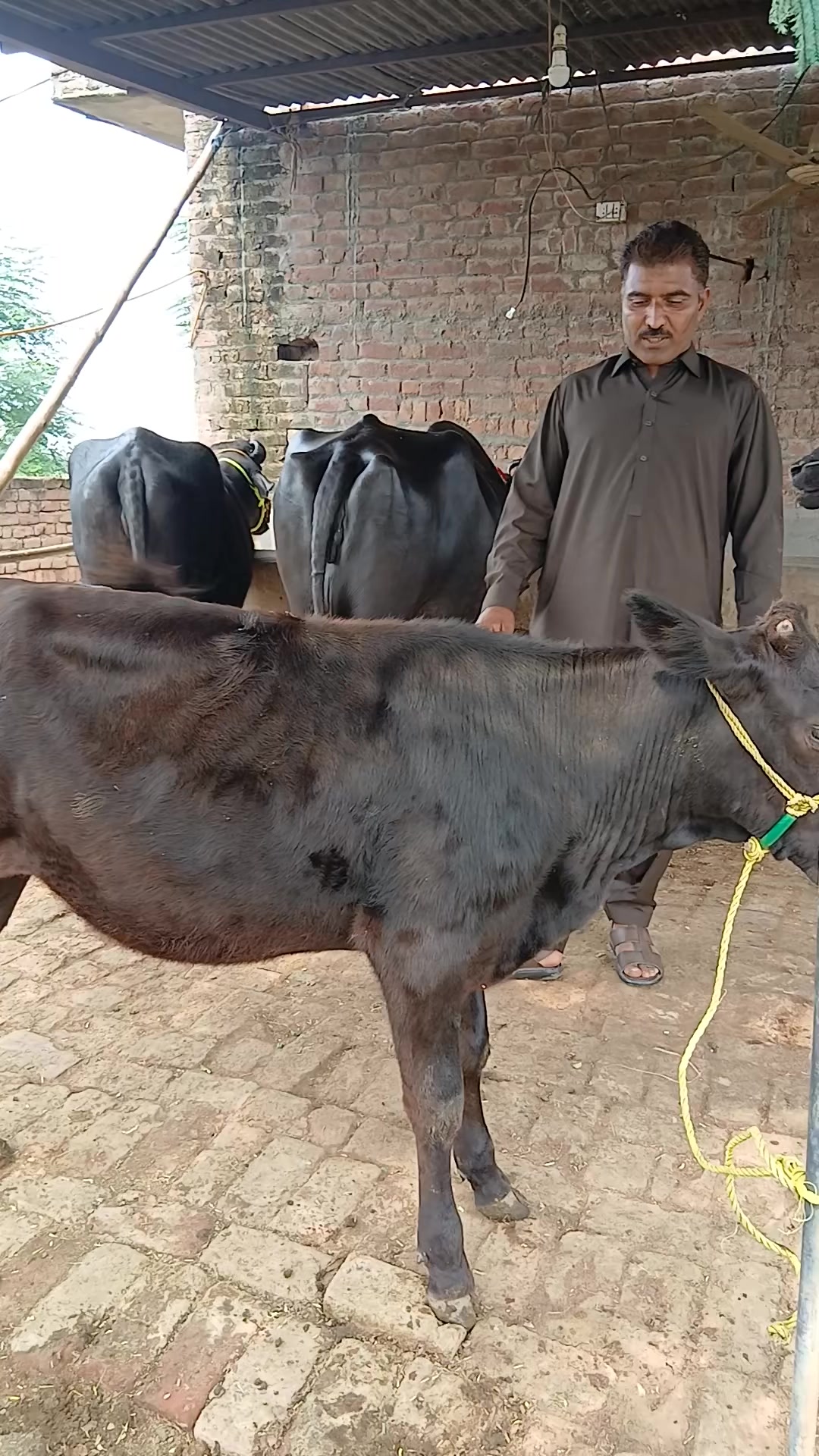 @Farming and Business Ideas