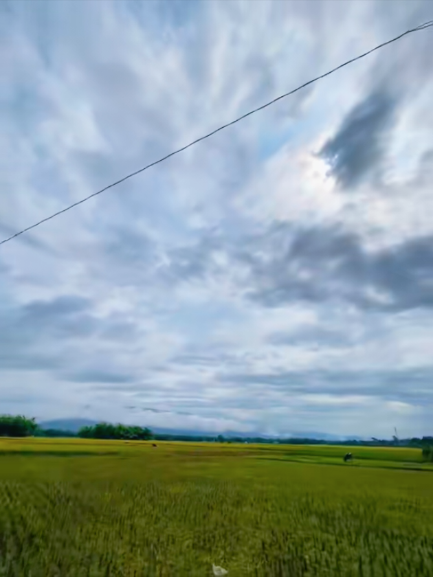 @đ¸đĻâī¸shimulbagan_1âī¸đ¸đĻ