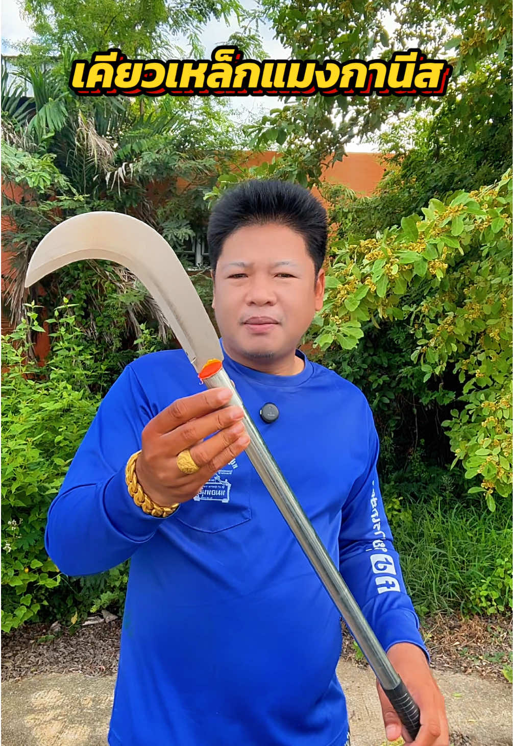 @วุดดี้ รีวิว56