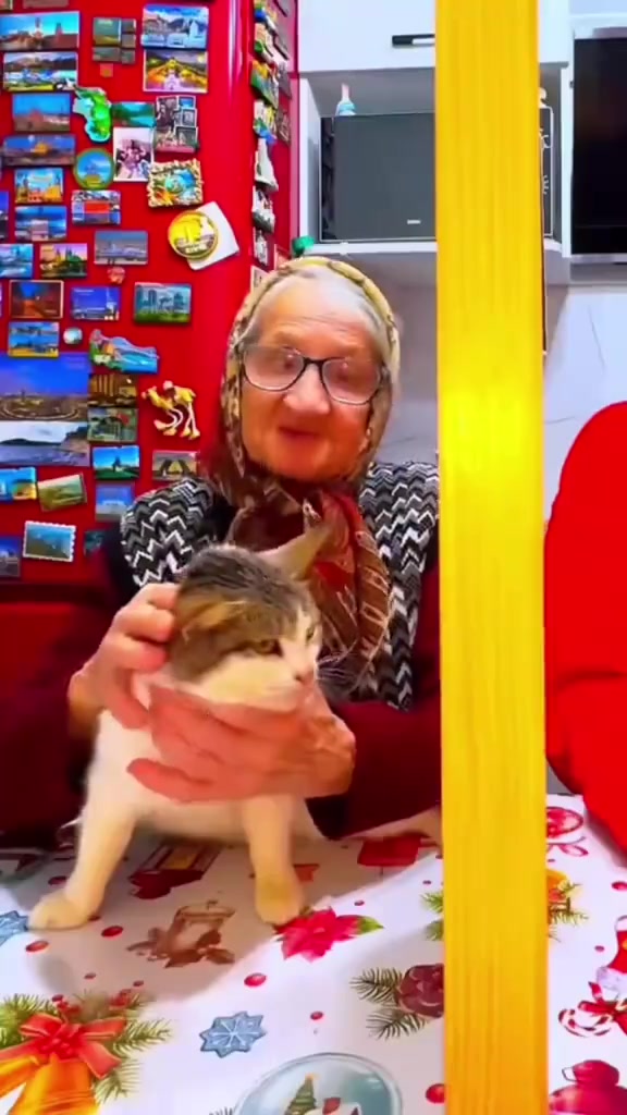 @Мёртвые крылья