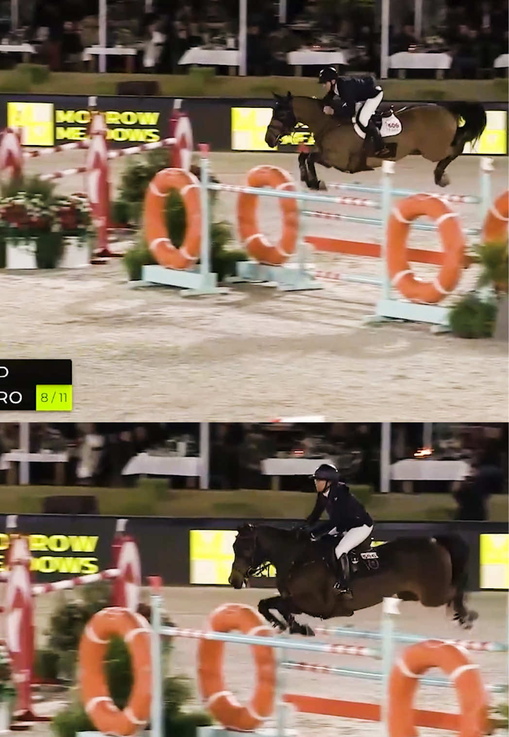 @Major League Show Jumping