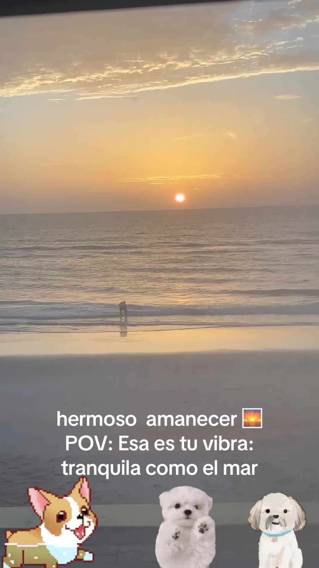 @los3huevertos