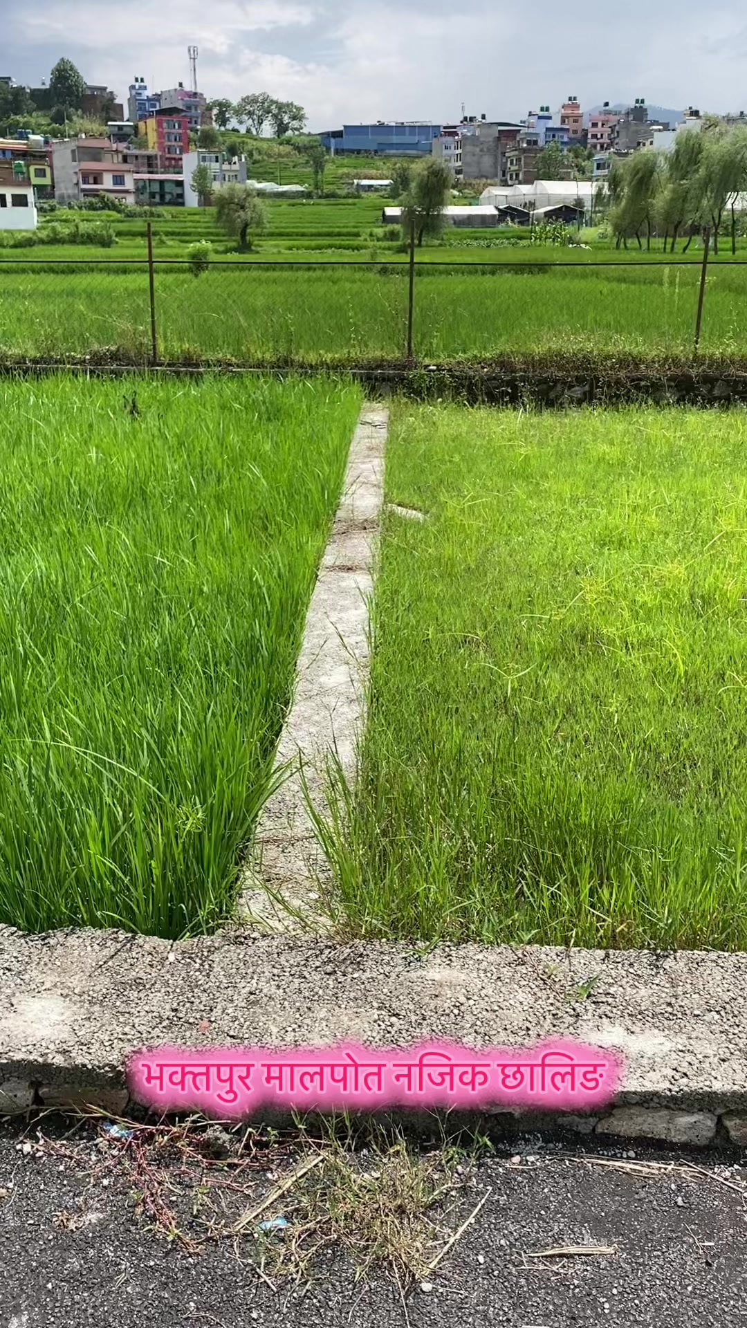 @Thapa_hem