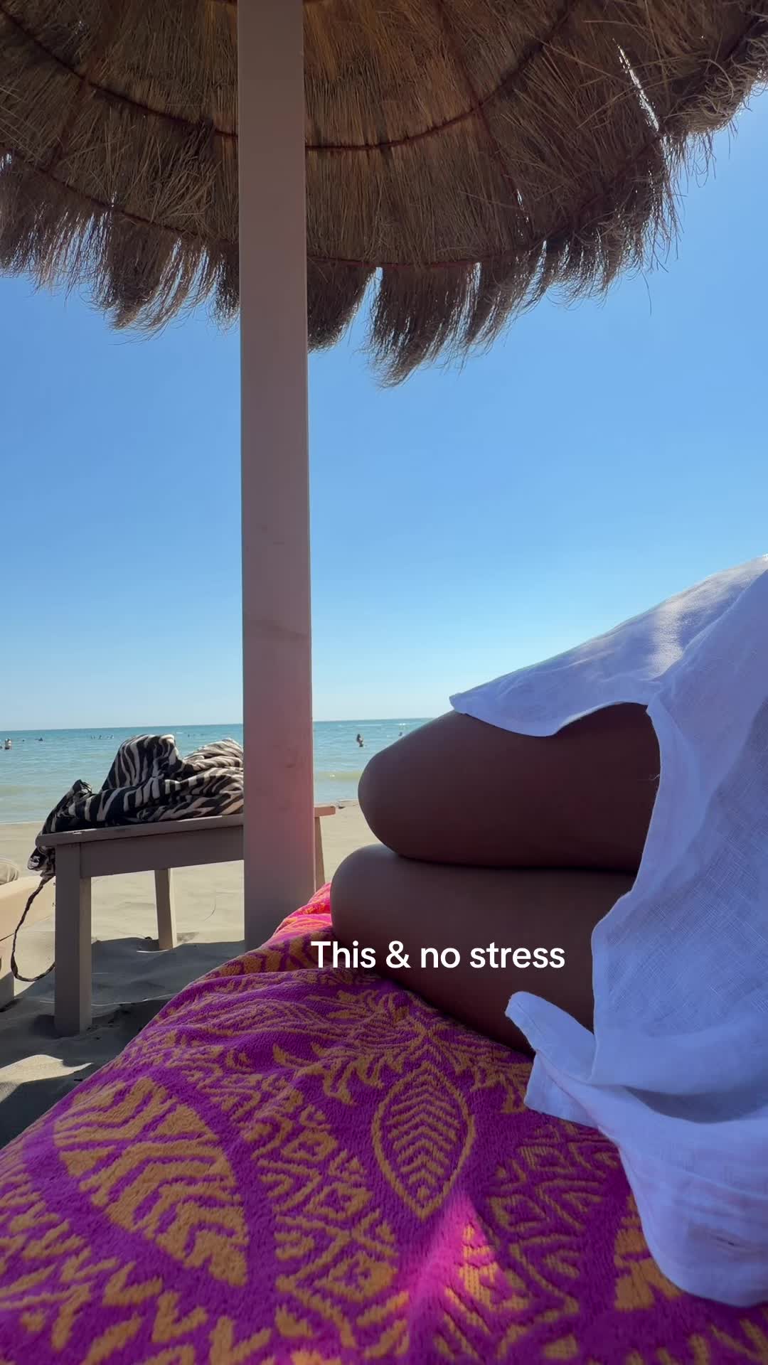 @I N E S S B V C