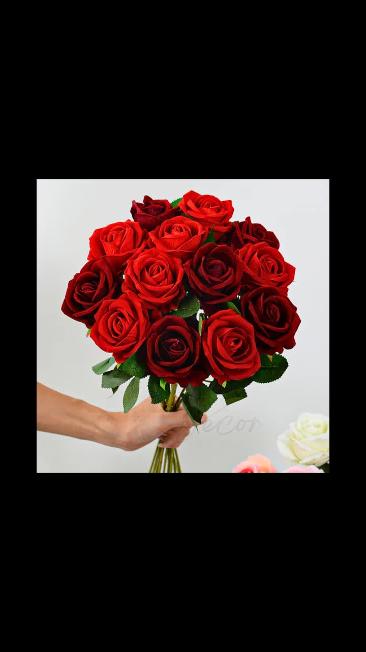 @AlHome