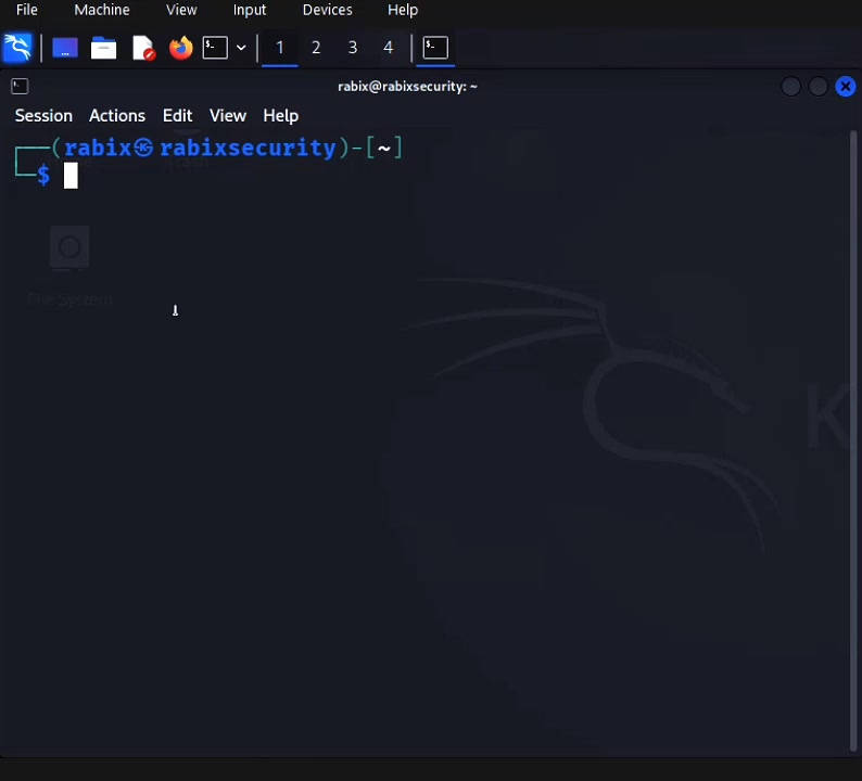 @RabiX Security