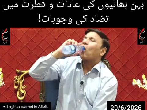 @Shu Maila