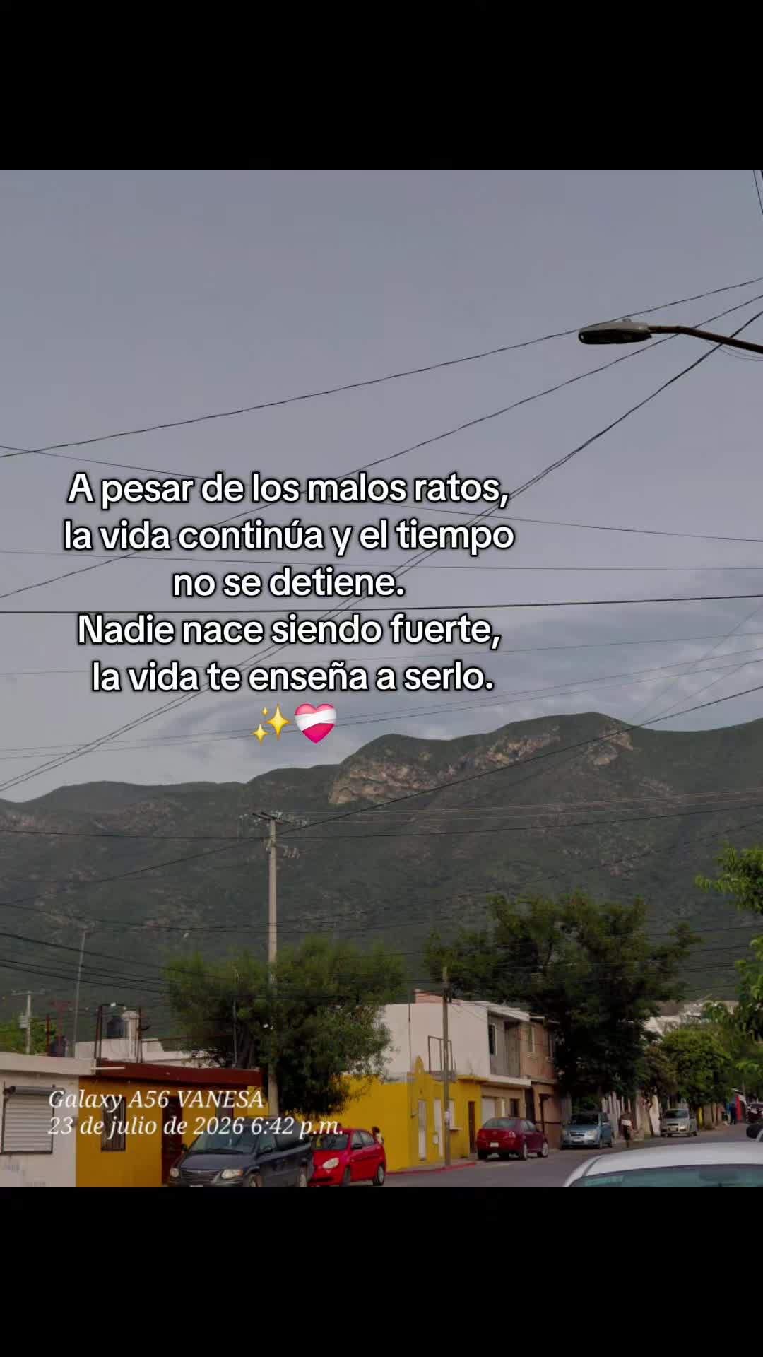 @Vanessa Hernandez