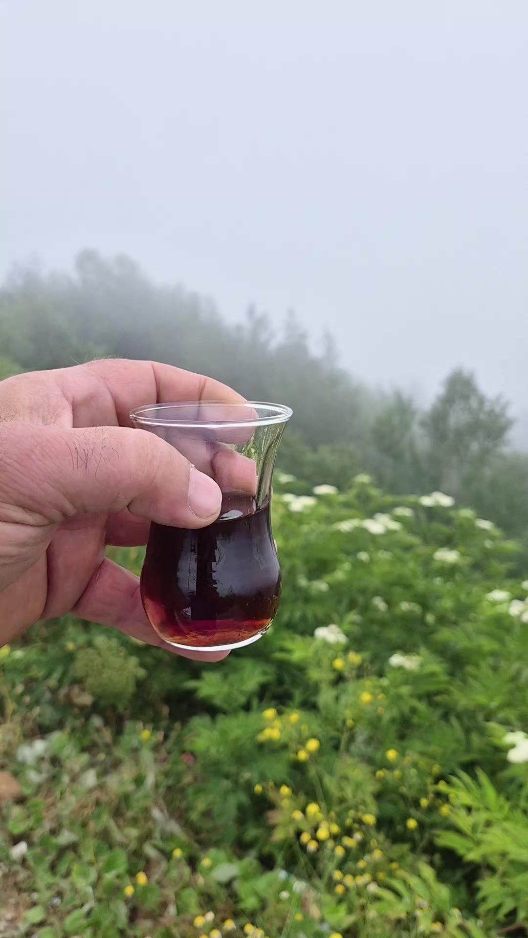 @Ahmet &ouml;zcan