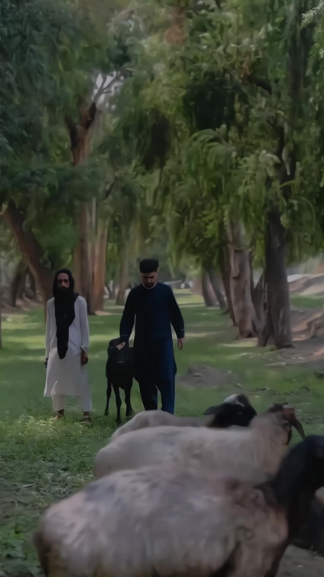 @azaljee_1