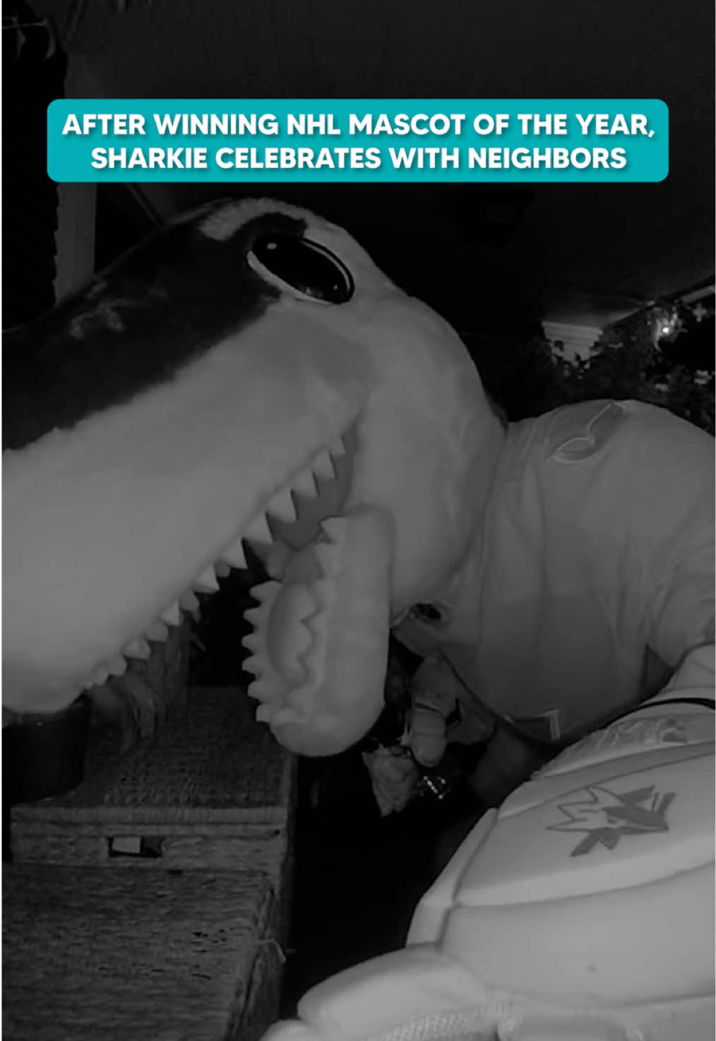 @SJ SHARKIE