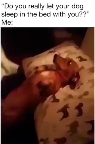 @user5526822922251