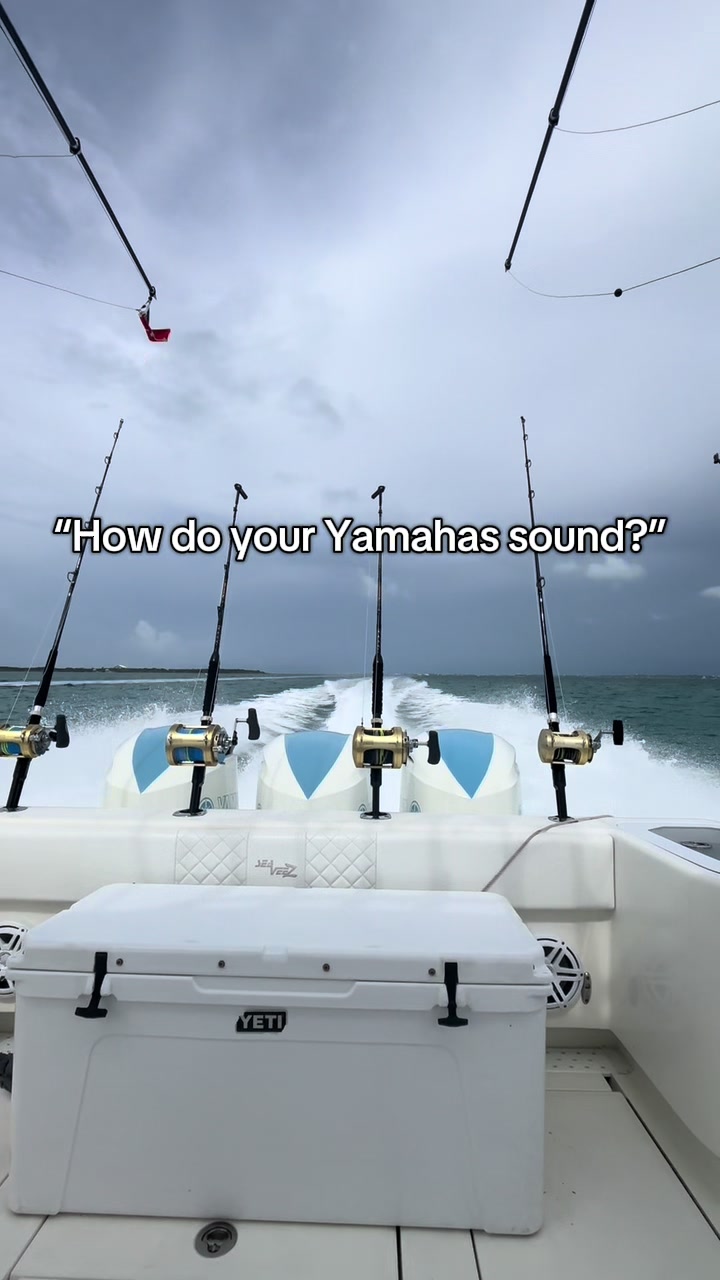 @🎣Dante