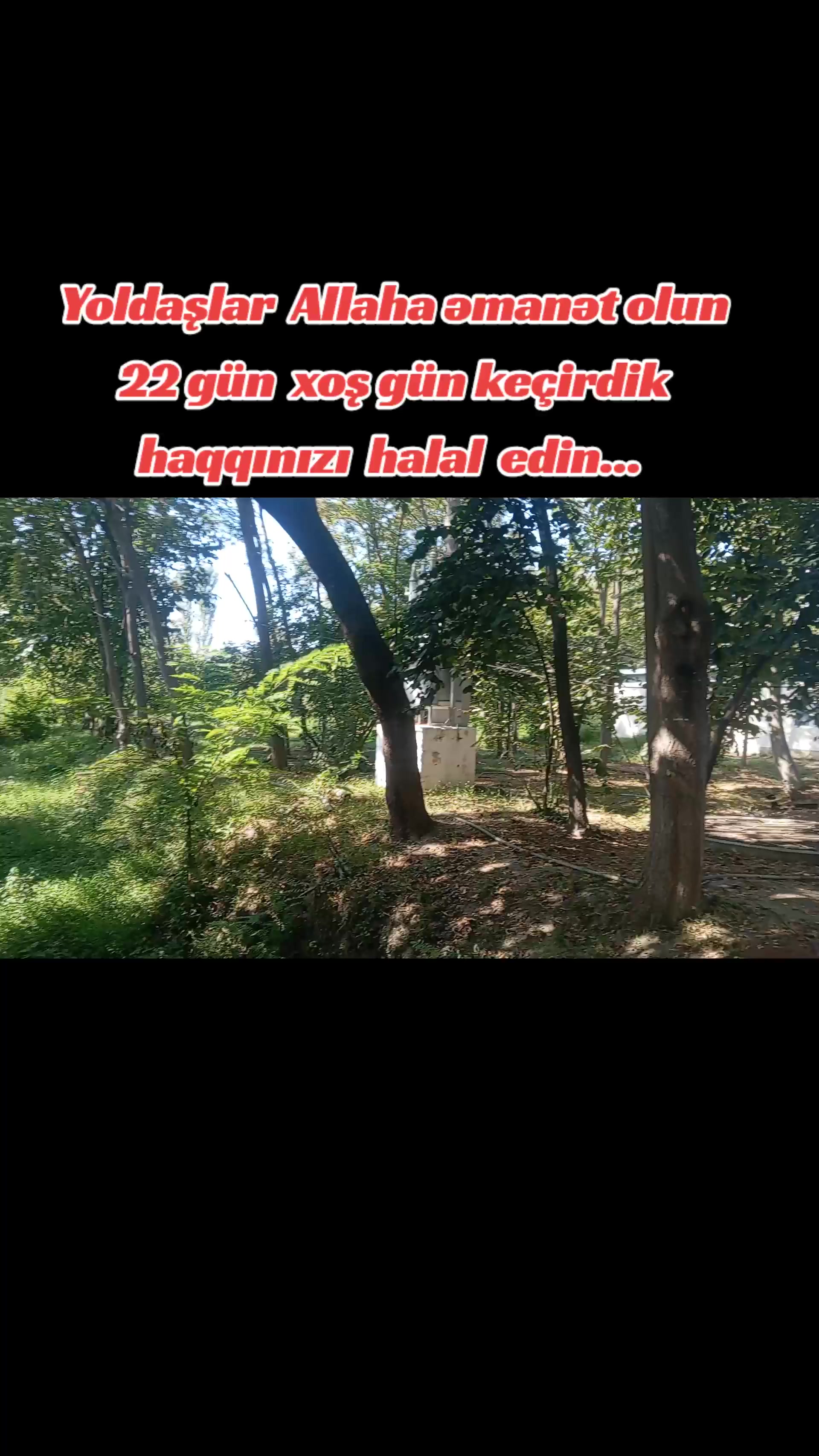@Traktor_Aləmi