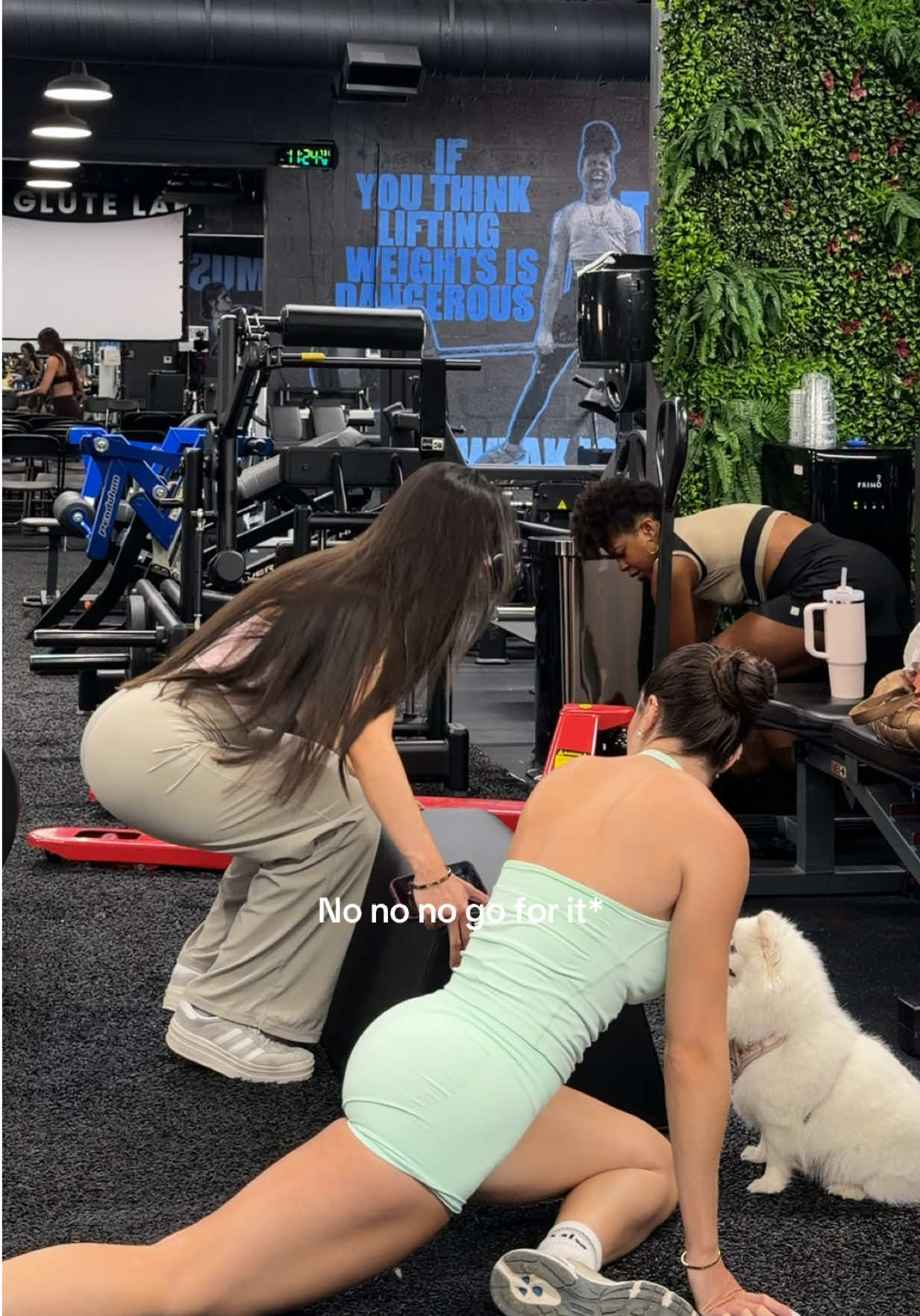 @rayssafitt