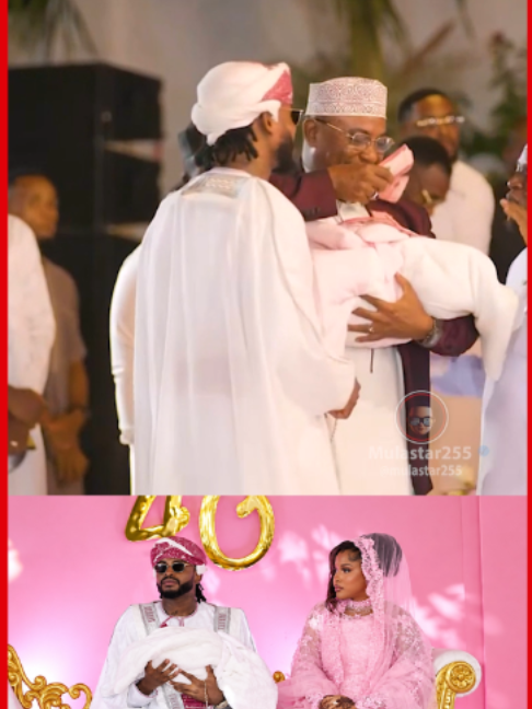 @mulastar255