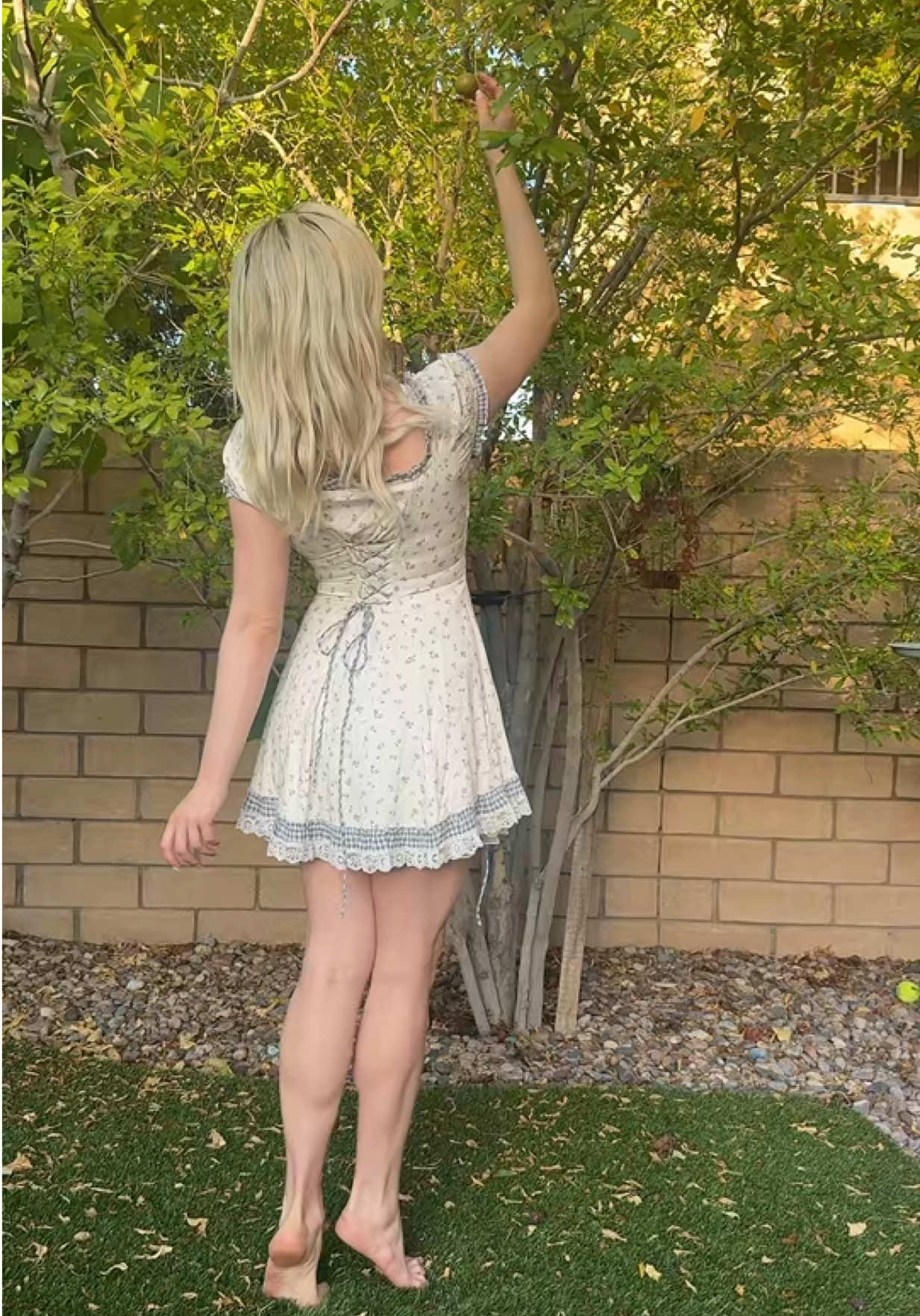 @saharareed