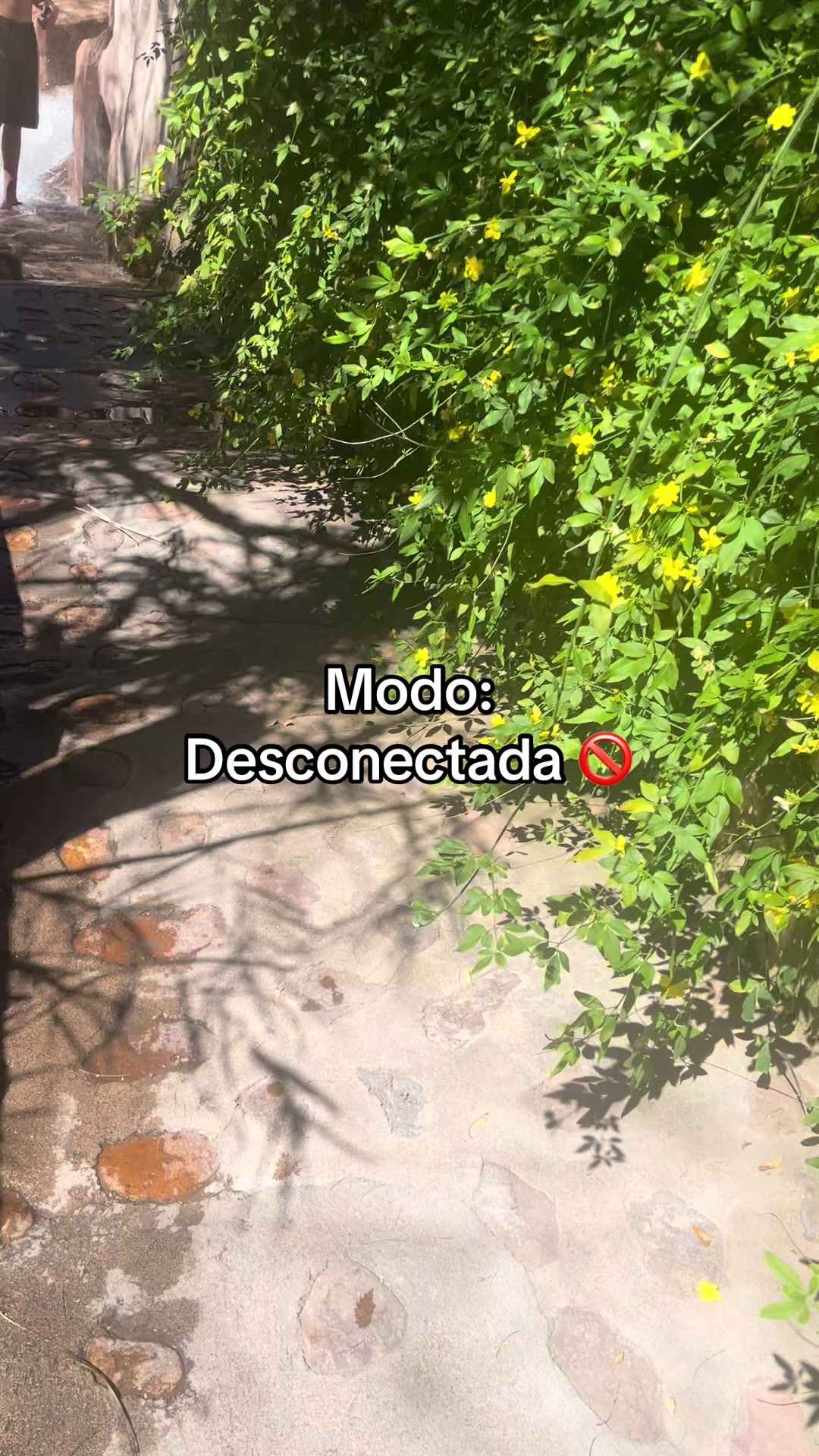 @✨💛Sol💛✨