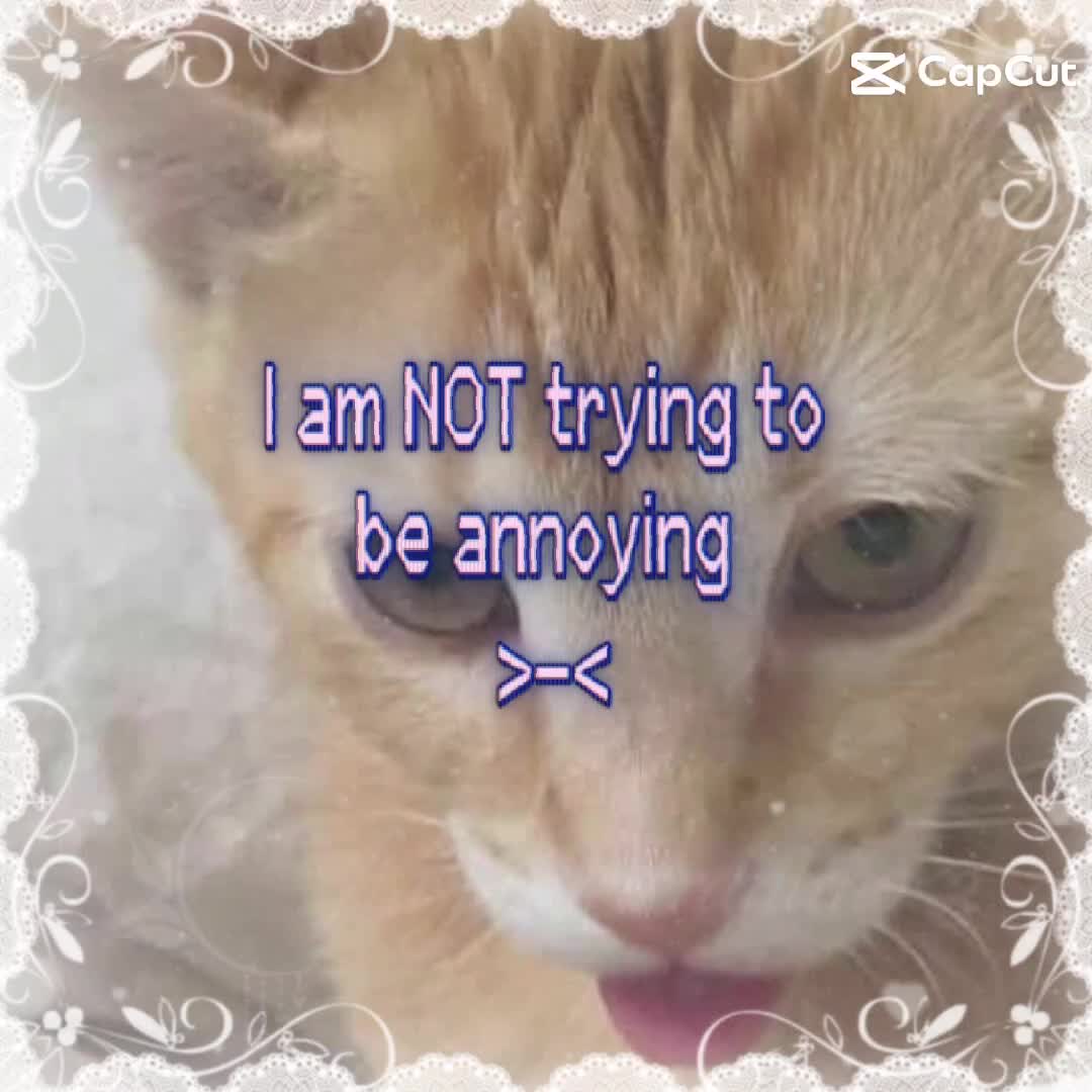 @Queen_beezlebub