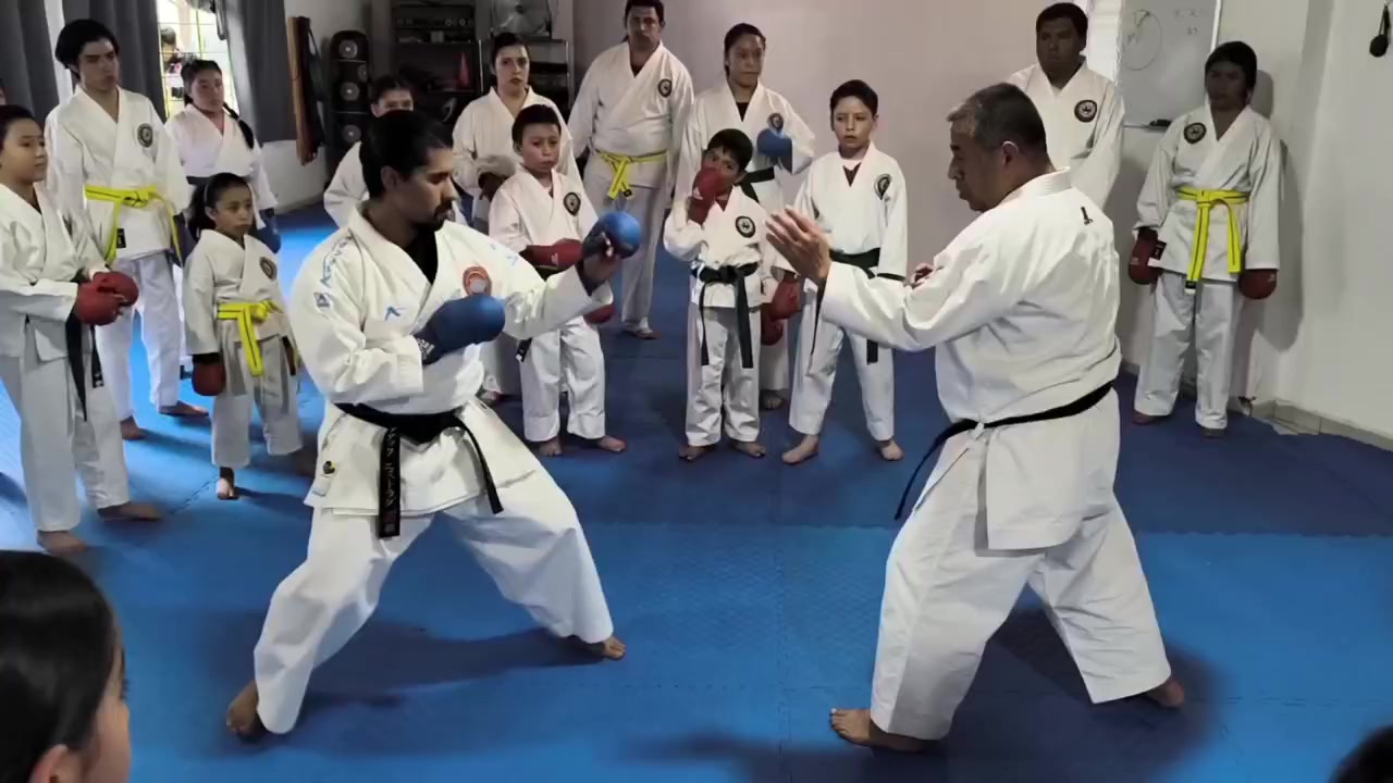 @Karate LSDG