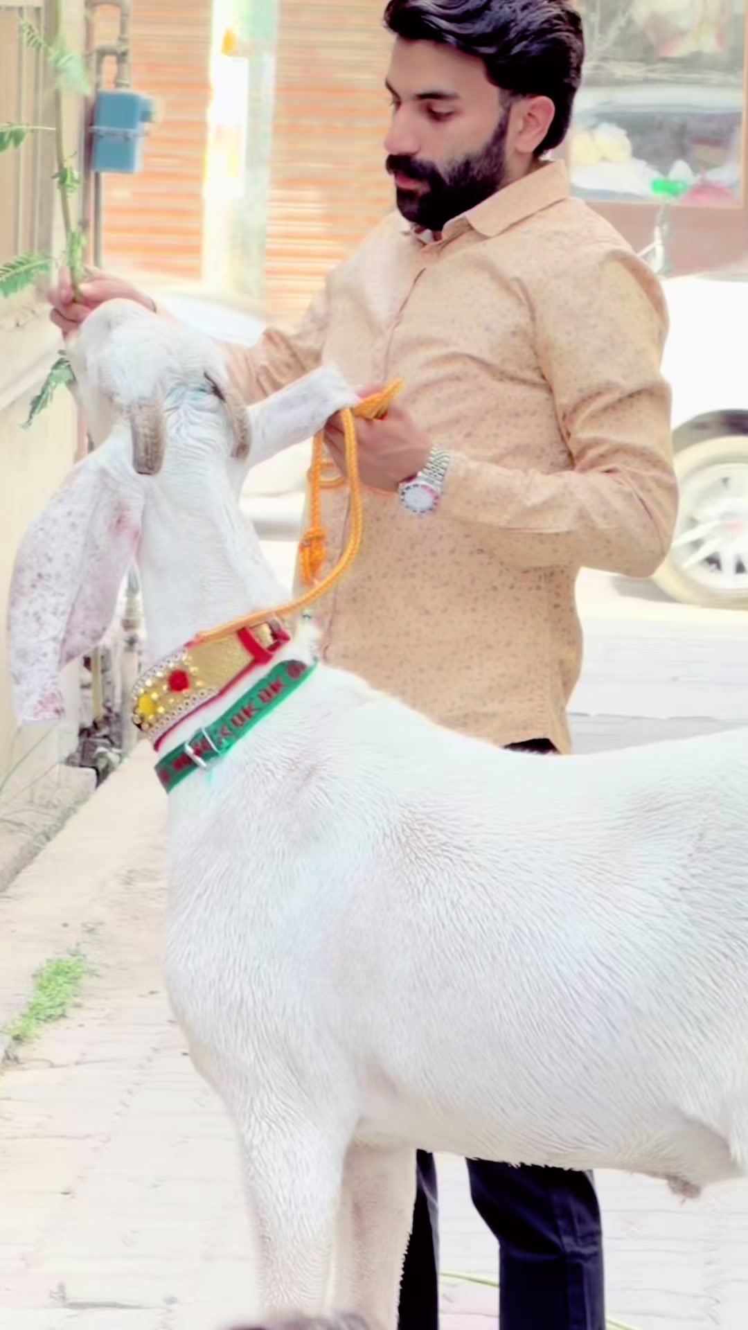 @Numan Mobiles Sialkot Cantt