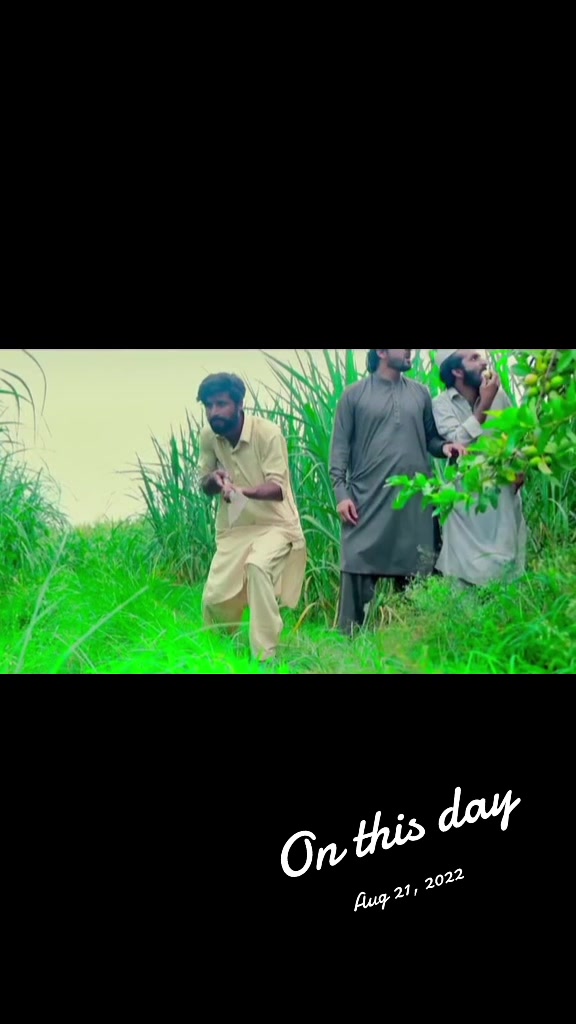 @Ishaq pkvines