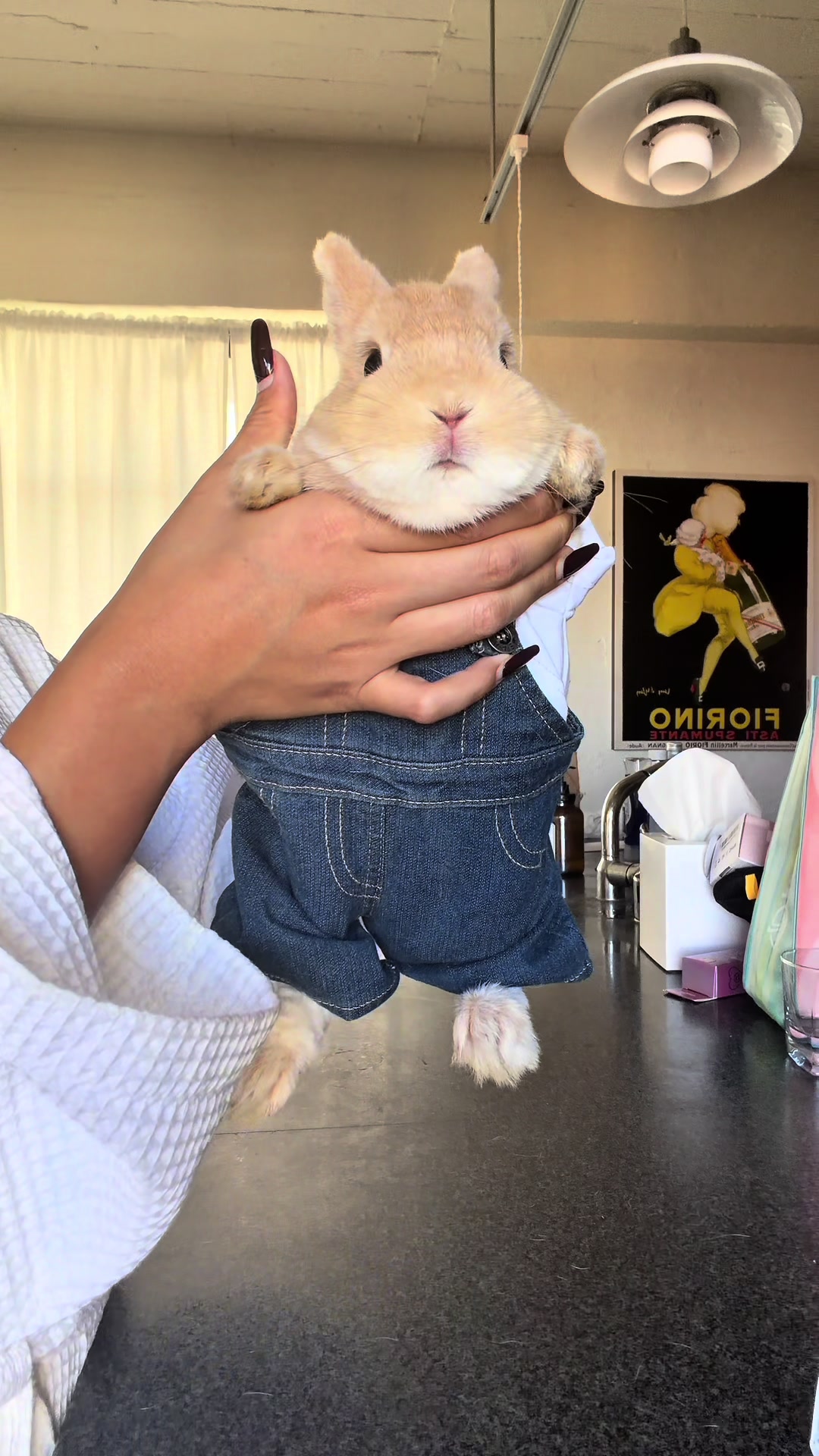 @Bunnydayoff