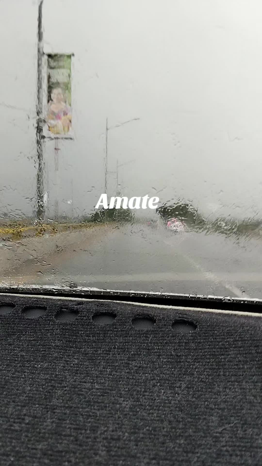 @Any SM 🐼