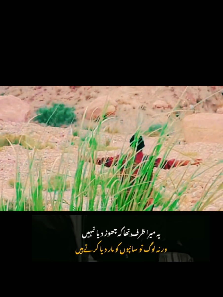 @Zarak khan