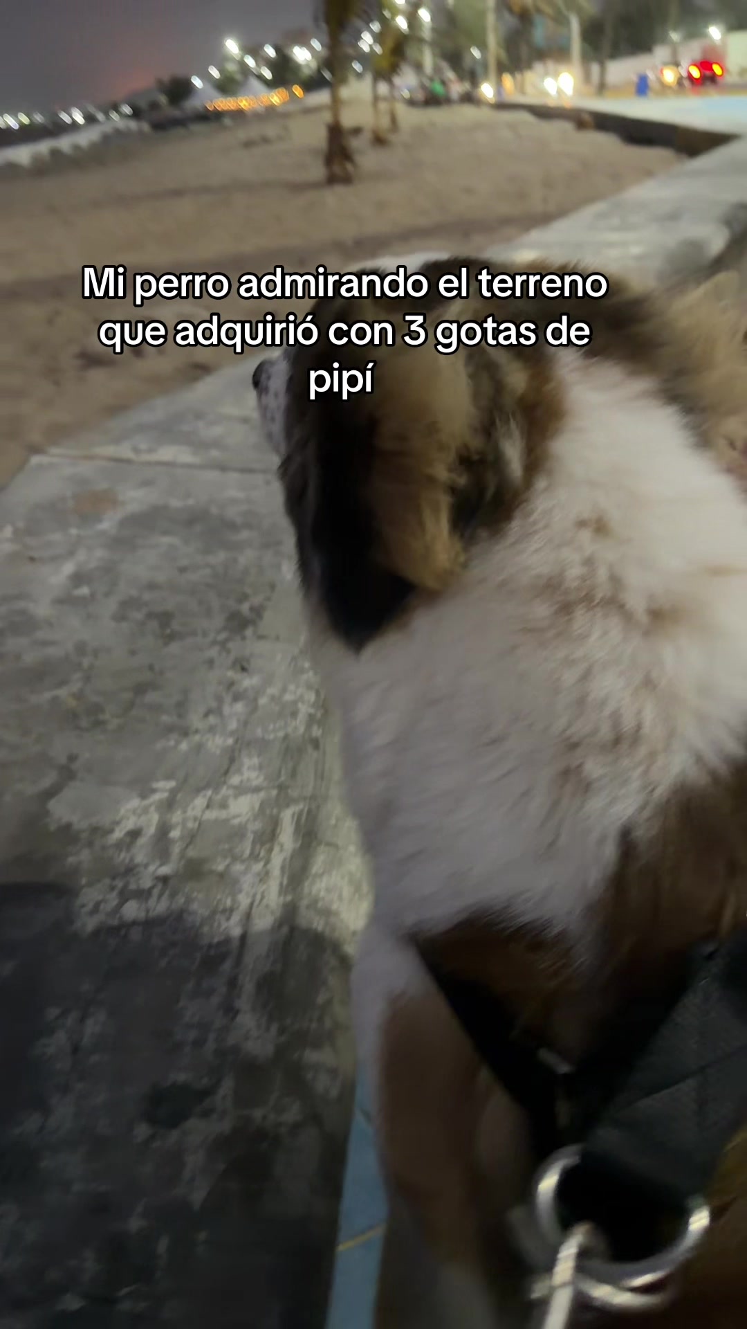 @María Betania