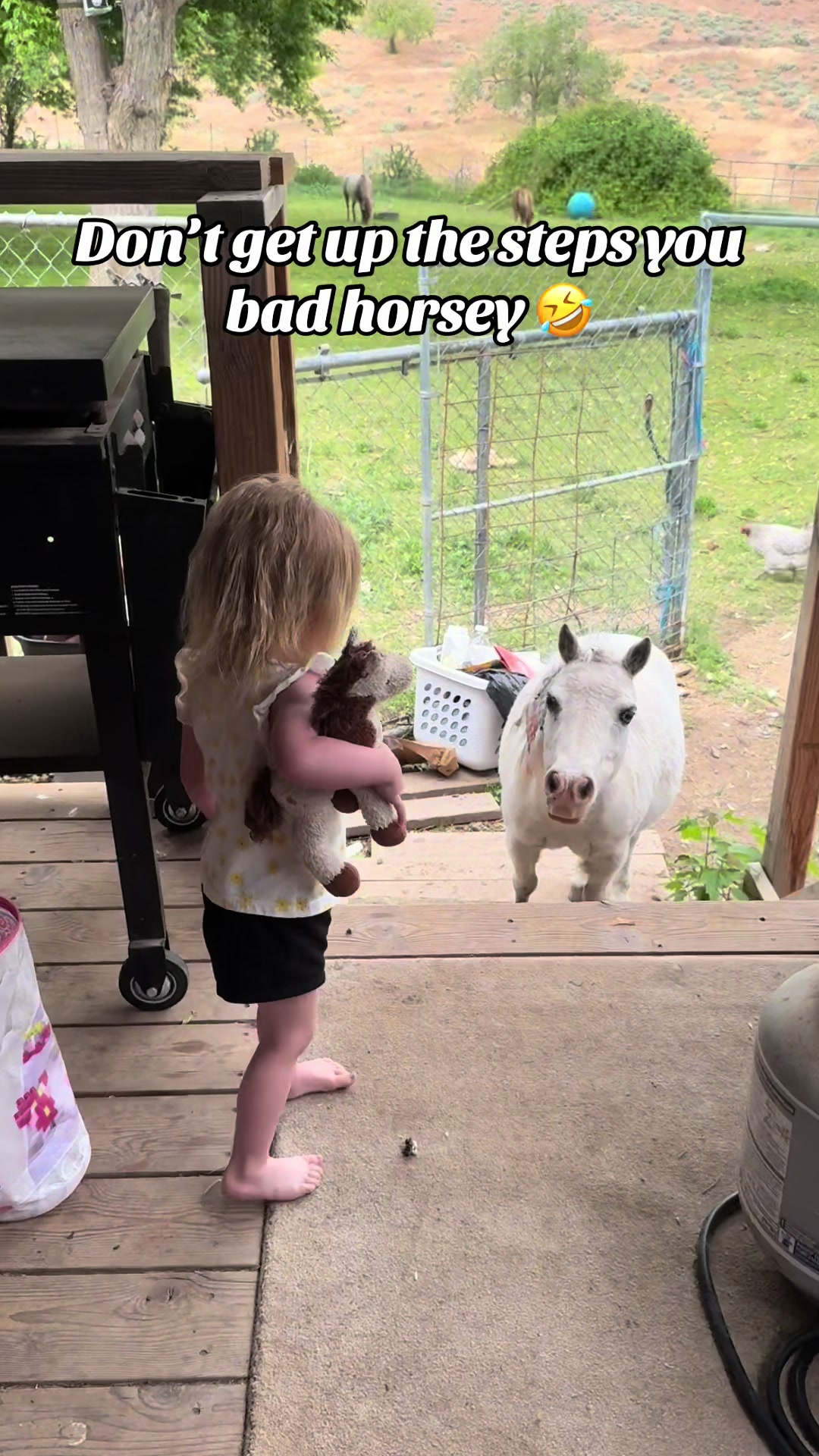 @Hot Sauce the Mini horse 🐎