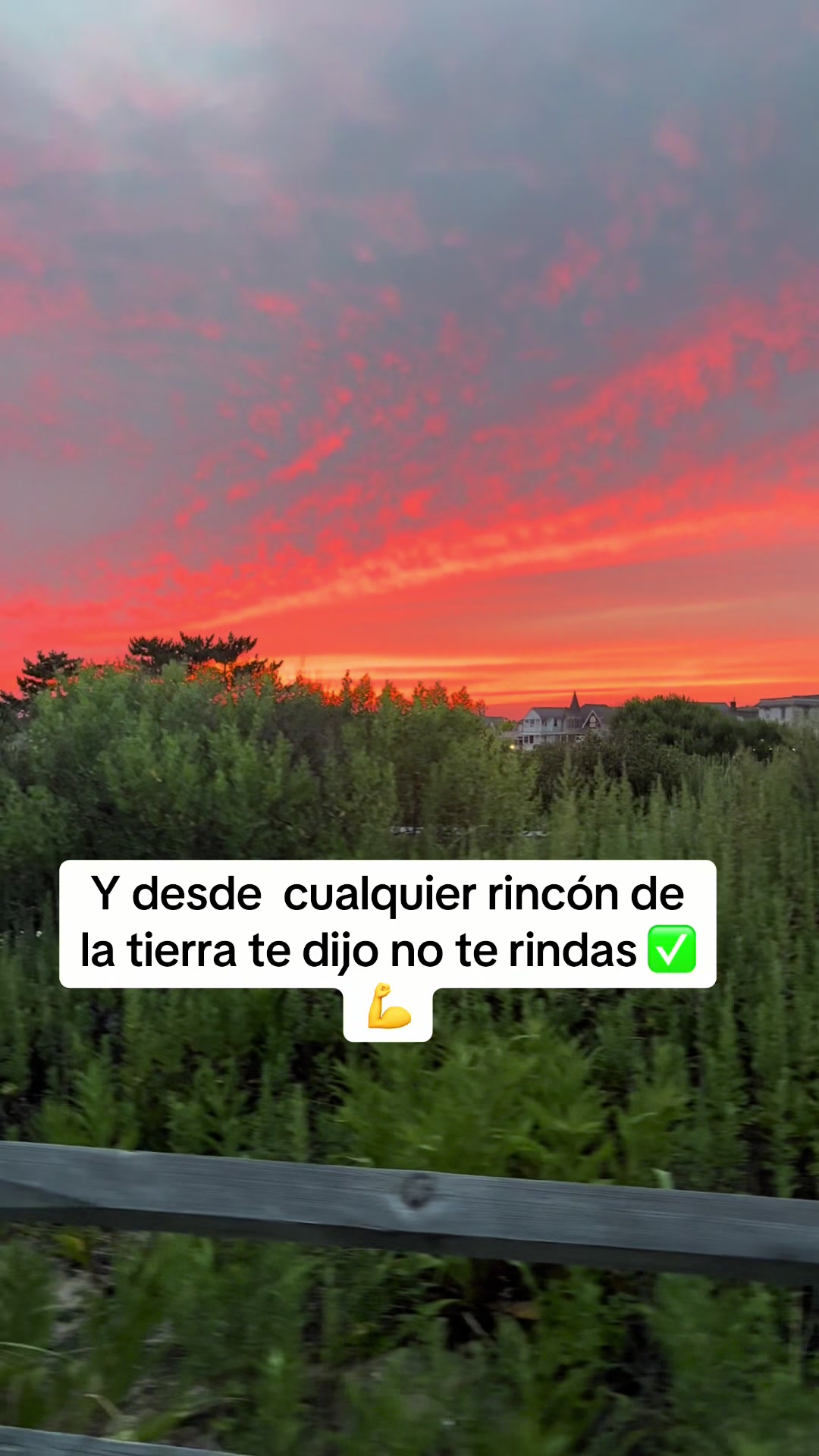 @Jesus olivera