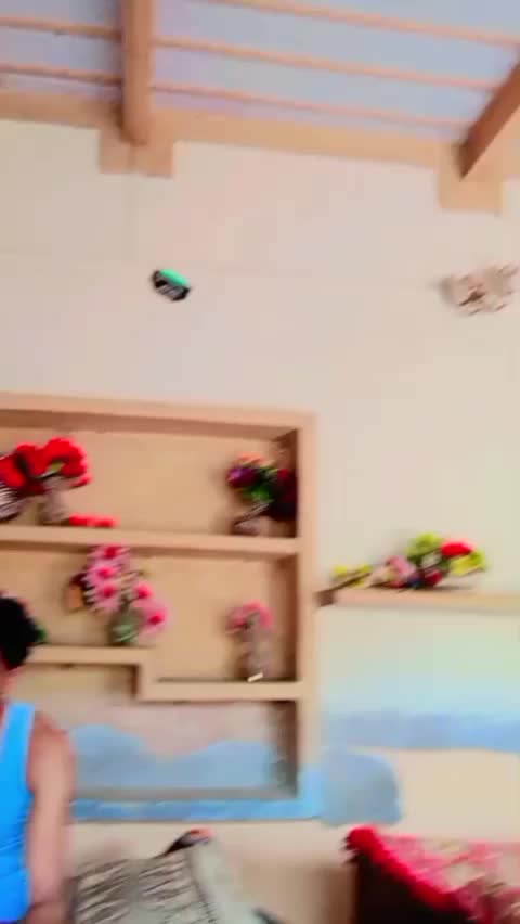 @sarfrazlailsb