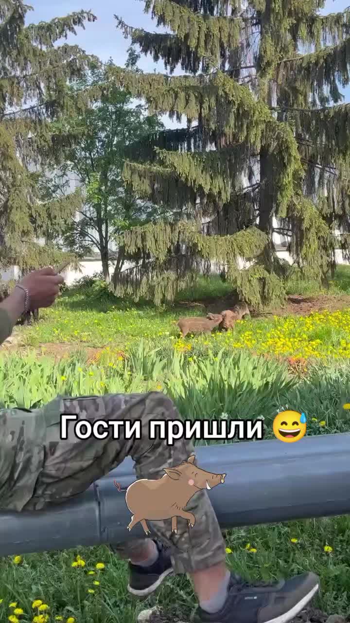 @❤️ ﮩﮩ٨ــﮩـــ𝑀𝒾𝓁𝒶