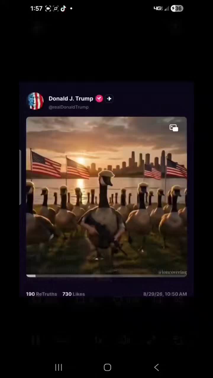 @traceycooke1010