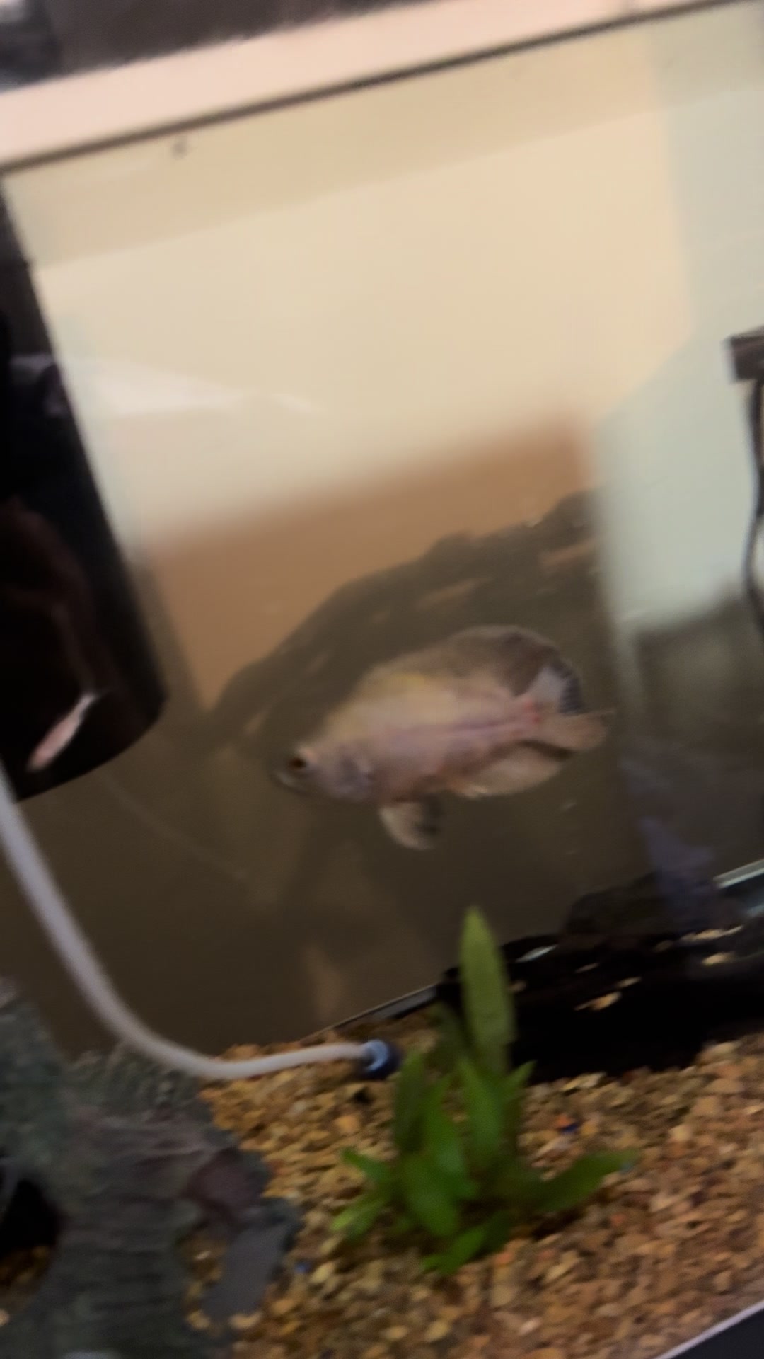 @fishdaddy2002