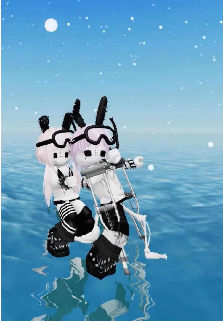 @/ᐠ - ˕ -マ Ⳋ