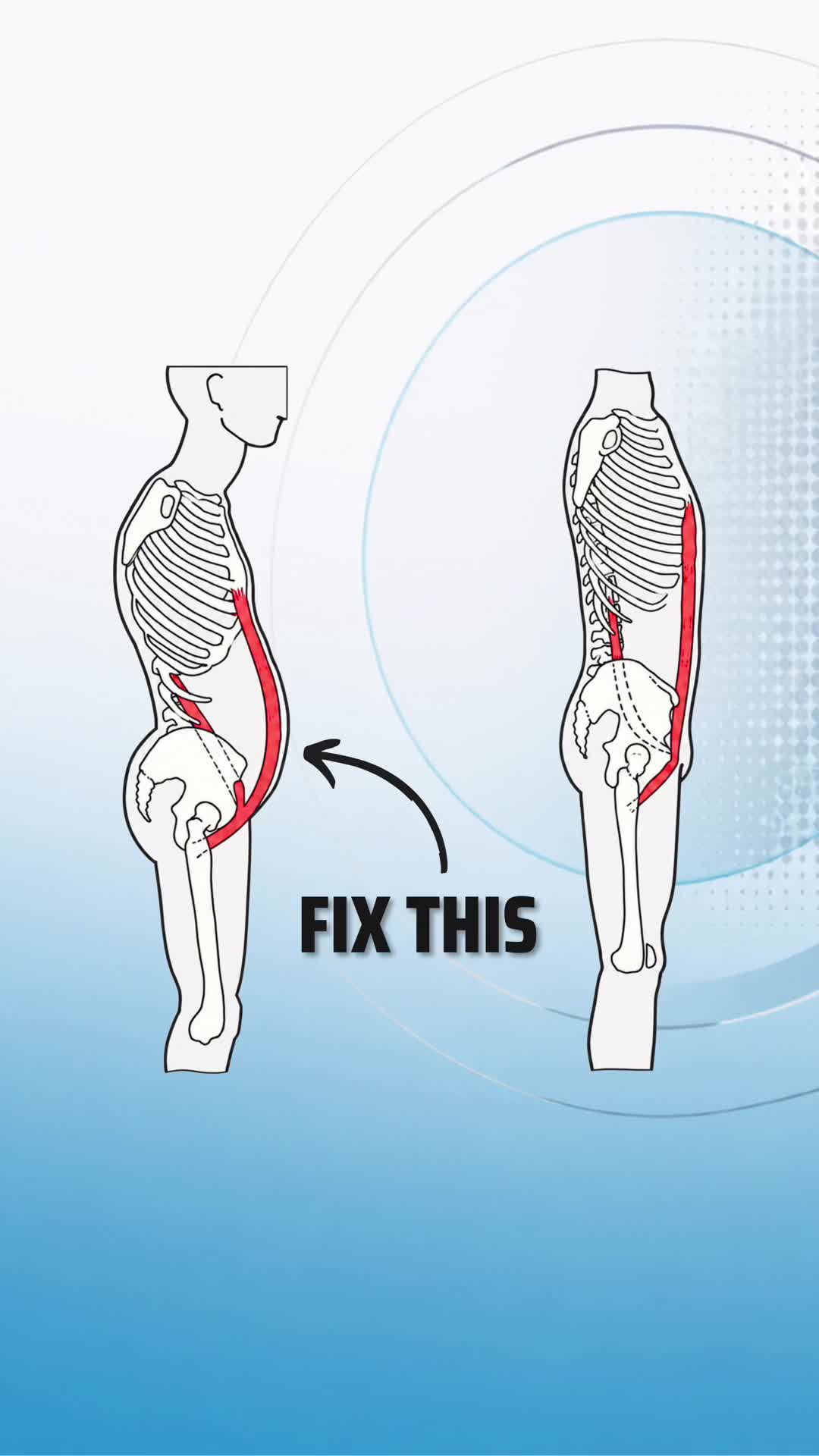 @PT Vitals | Mobility