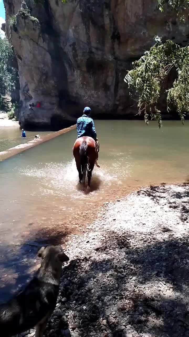 @Nico Herrera