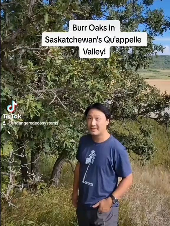 @Endangered Ecosystems Alliance