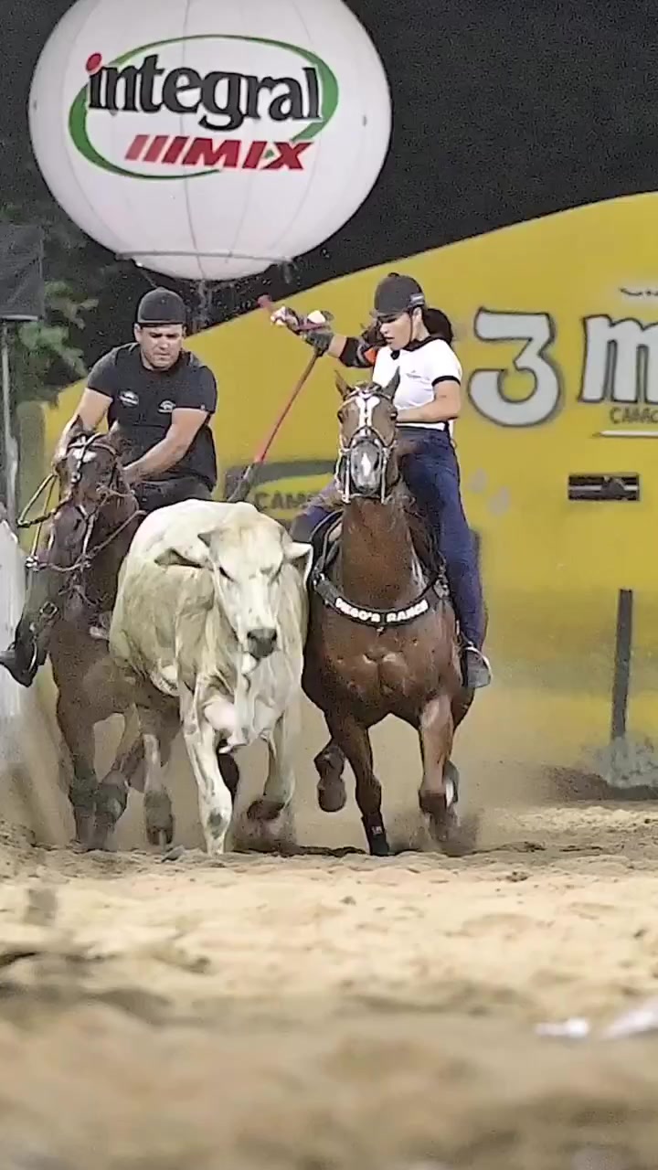@vaqueiras