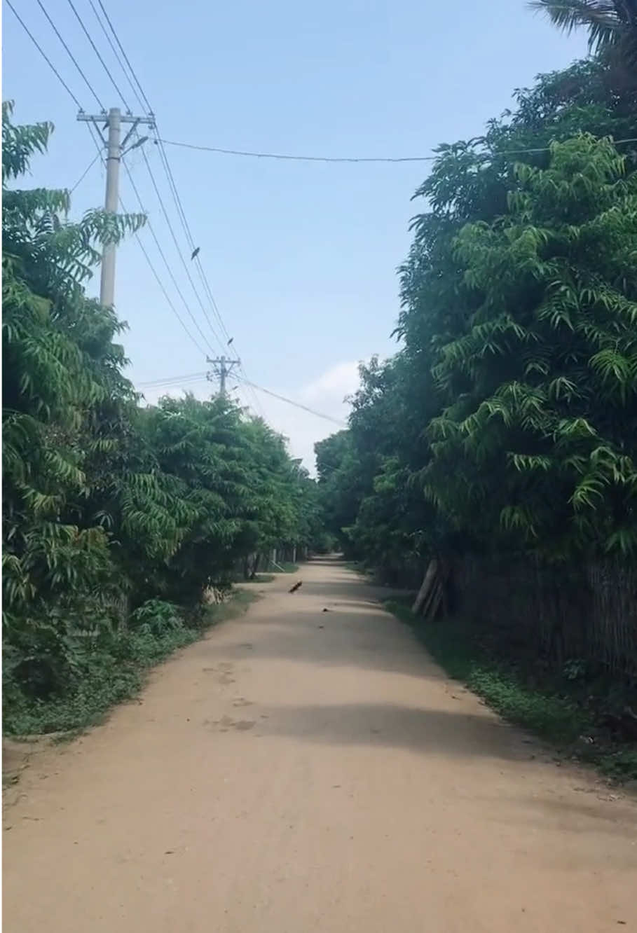 @MYOZAW &ndash; ဖိုးပြုံးချို💜