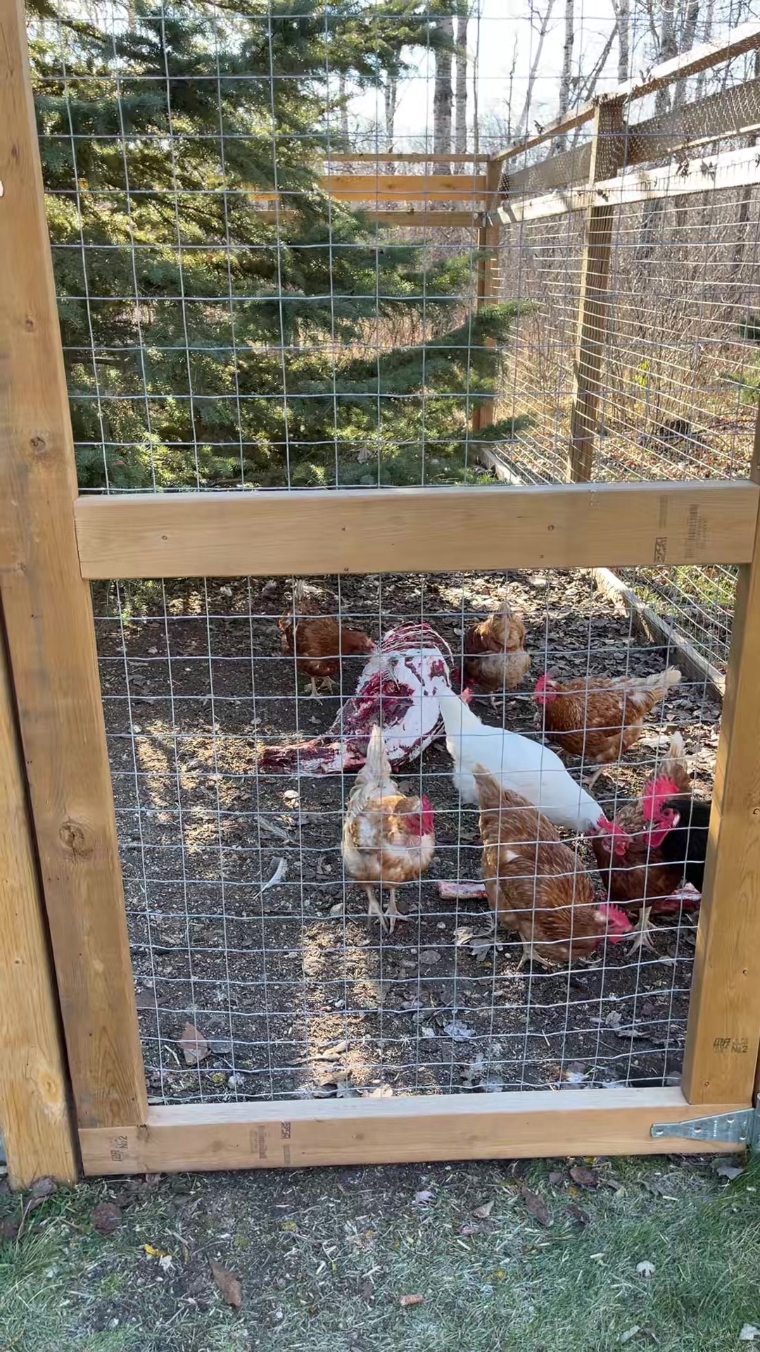 @The Fisher Farm 🇨🇦