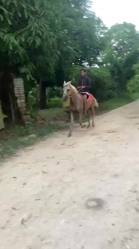 @El tal caballista ese 🤠