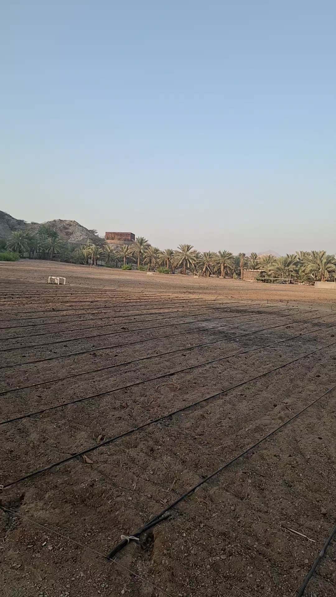 @Ratan mia