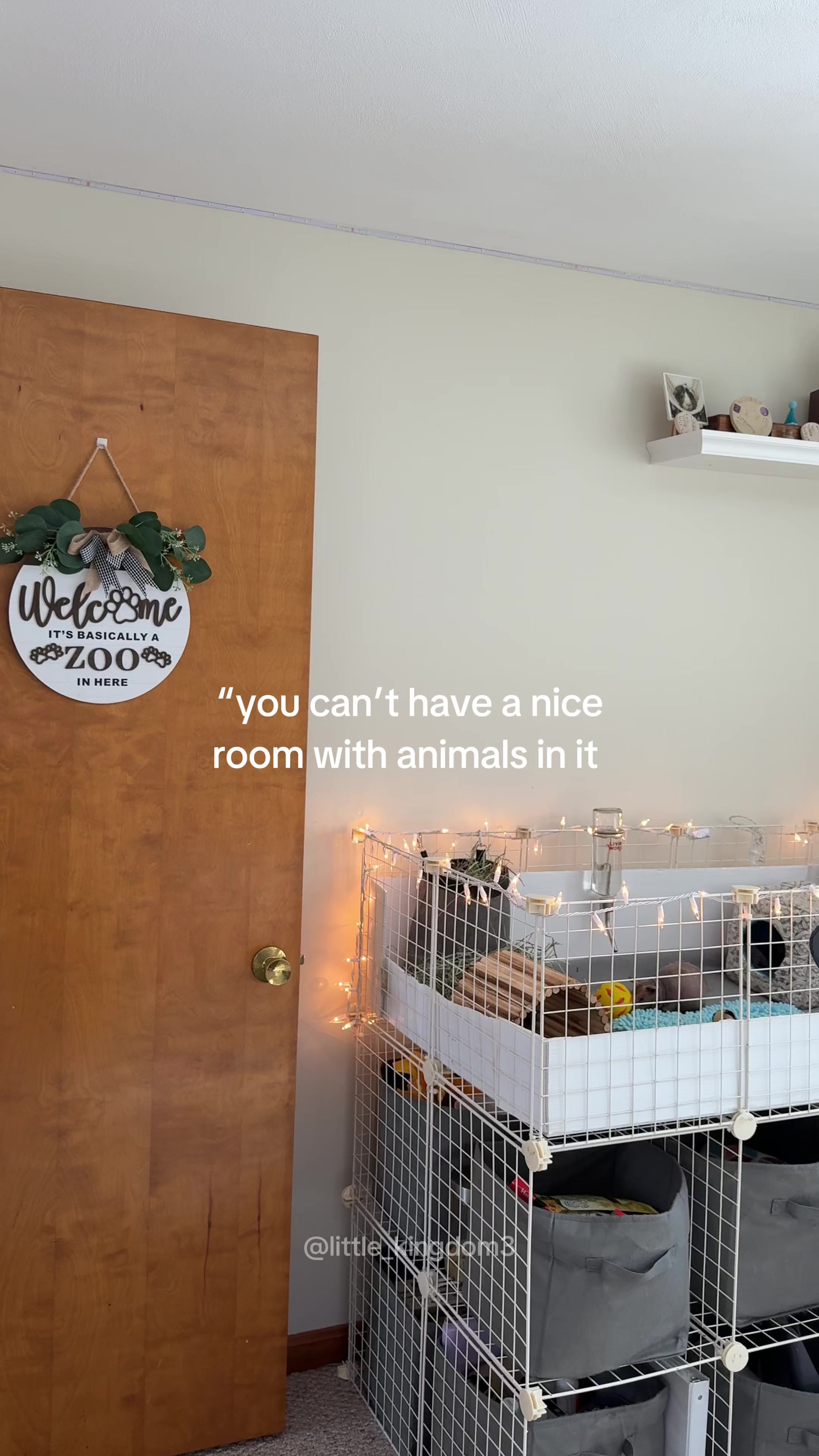 @Ashlyn 🐾